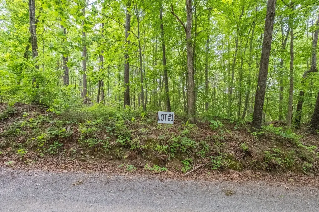 8489 Hoskins Hollow Road Westmoreland TN 37186