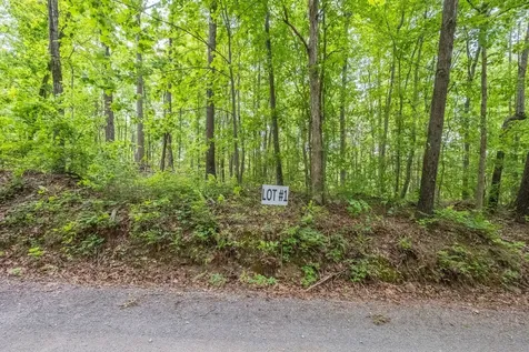 8489 Hoskins Hollow Road Westmoreland TN 37186