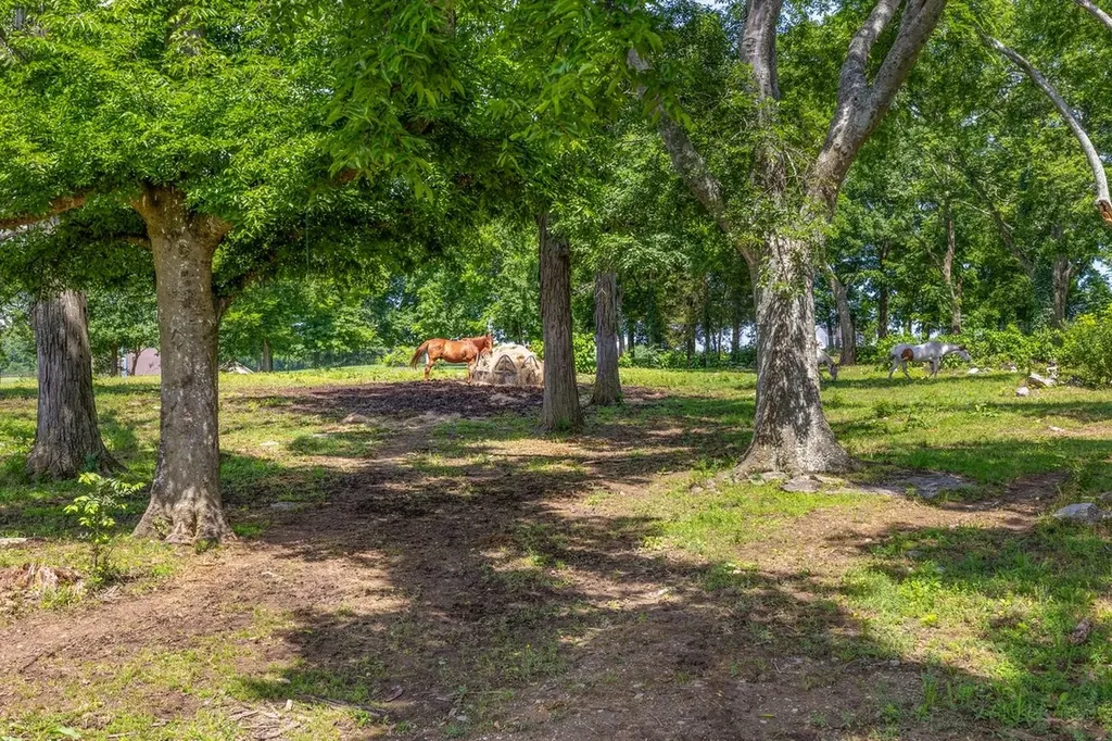 905 Hickory Hills Drive Franklin TN 37067