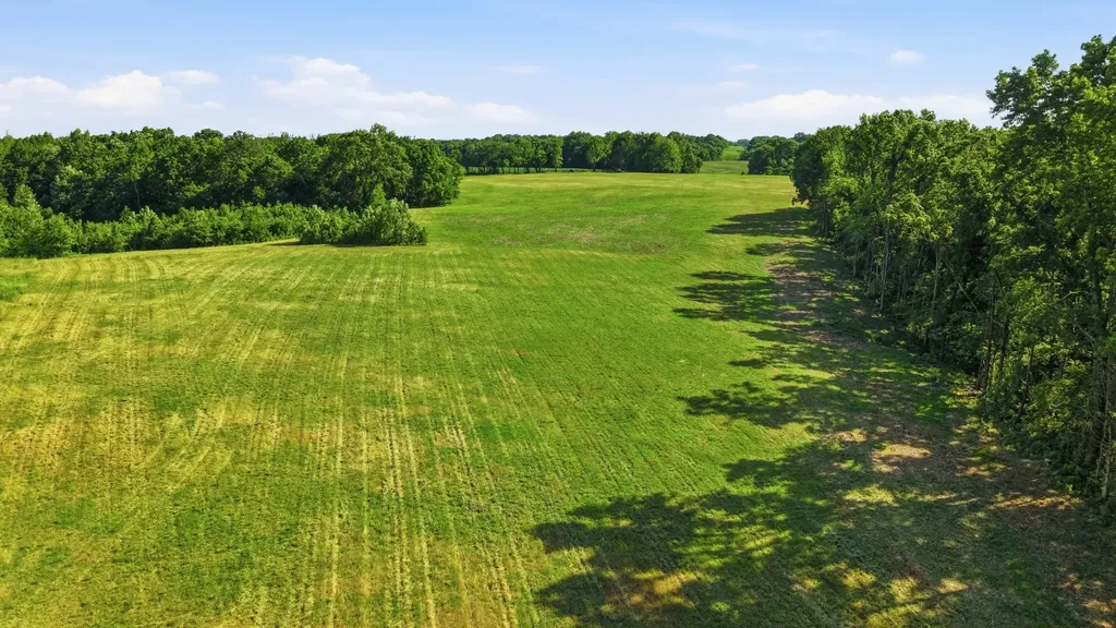 0 Ben Armstrong Road Castalian Springs TN 37031
