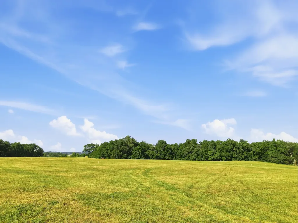 0 Ben Armstrong Road Castalian Springs TN 37031