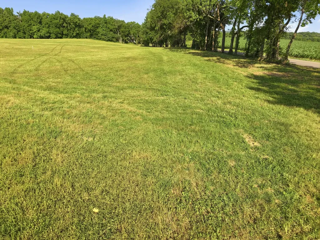0 Ben Armstrong Road Castalian Springs TN 37031