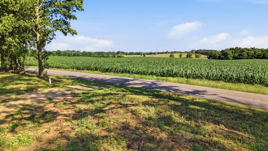 0 Ben Armstrong Road Castalian Springs TN 37031