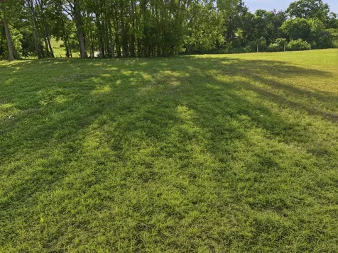 0 Ben Armstrong Road Castalian Springs TN 37031