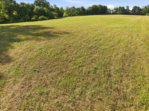 0 Ben Armstrong Road Castalian Springs TN 37031