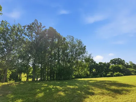0 Ben Armstrong Road Castalian Springs TN 37031