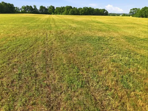 0 Ben Armstrong Road Castalian Springs TN 37031