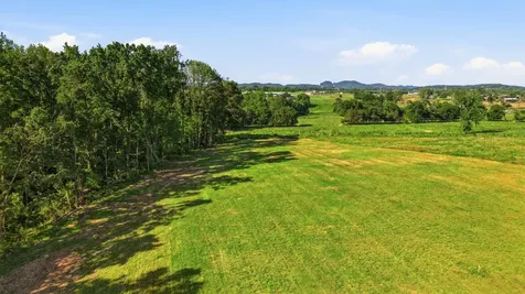 0 Ben Armstrong Road Castalian Springs TN 37031
