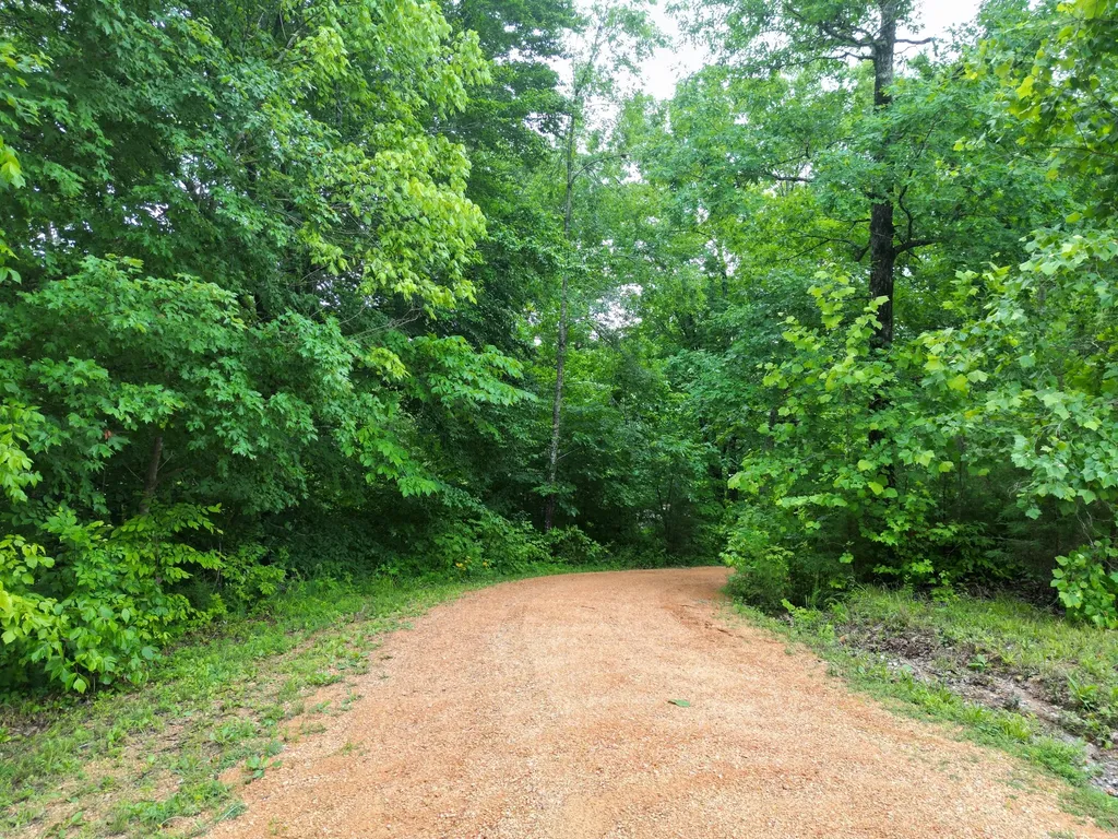 14656 Highway 438, W Linden TN 37096