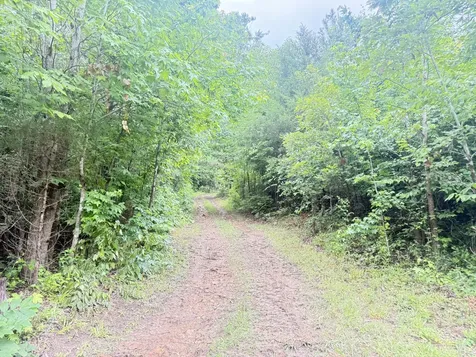 14656 Highway 438, W Linden TN 37096
