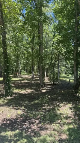 0 Lakewood Drive Beechgrove TN 37018