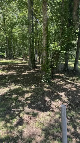 0 Lakewood Drive Beechgrove TN 37018