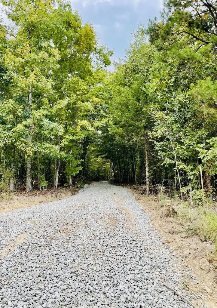 1132 Sneed Road (Lot 1 & 2) Road Decatur TN 37322