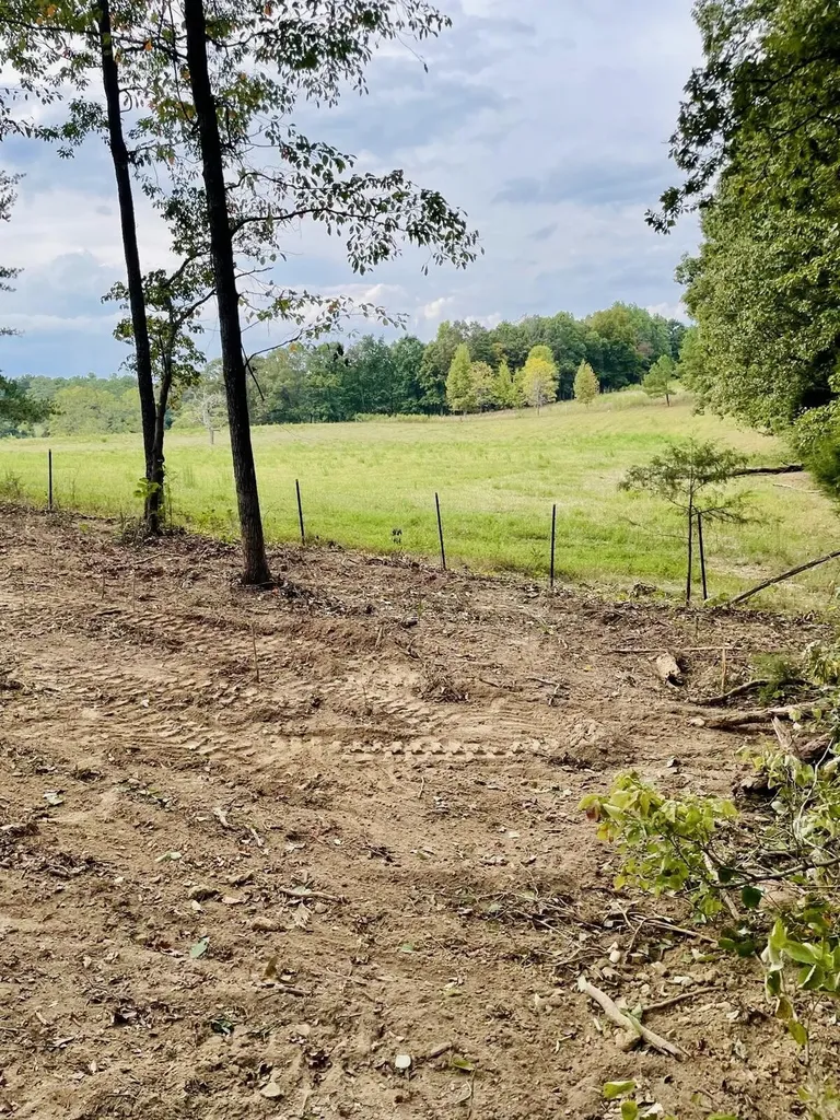 1132 Sneed Road (Lot 1 & 2) Road Decatur TN 37322