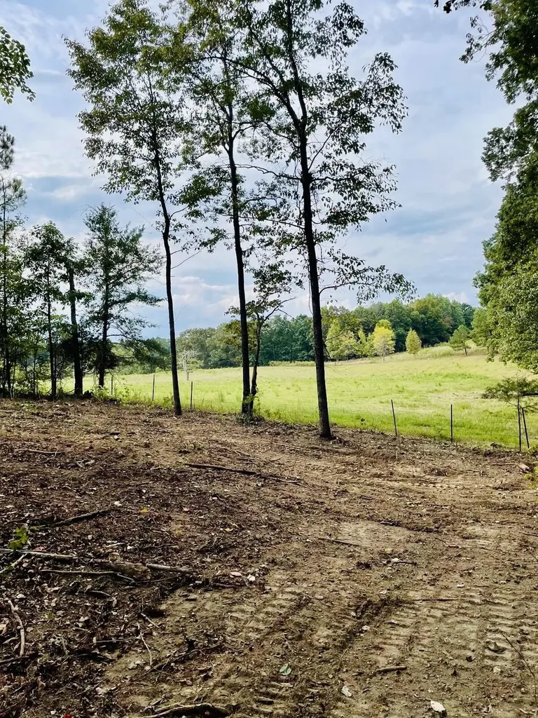 1132 Sneed Road (Lot 1 & 2) Road Decatur TN 37322