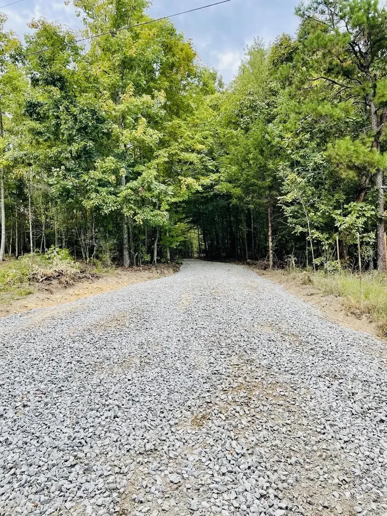 1132 Sneed Road (Lot 1 & 2) Road Decatur TN 37322