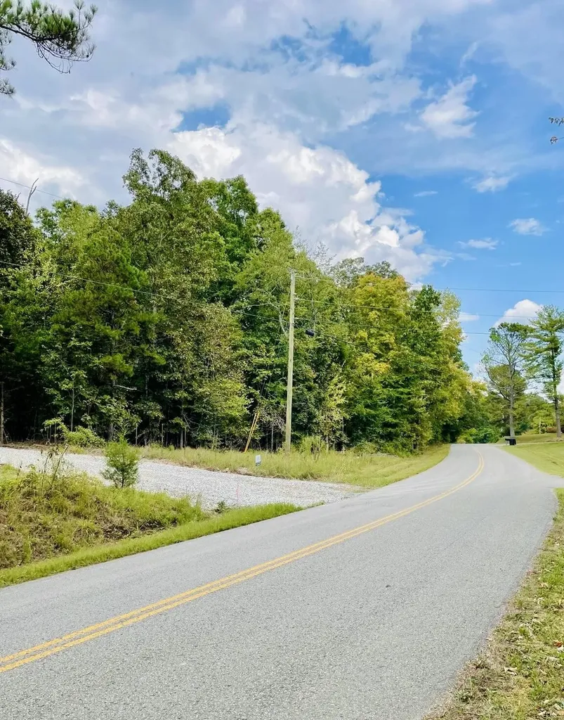 1132 Sneed Road (Lot 1 & 2) Road Decatur TN 37322