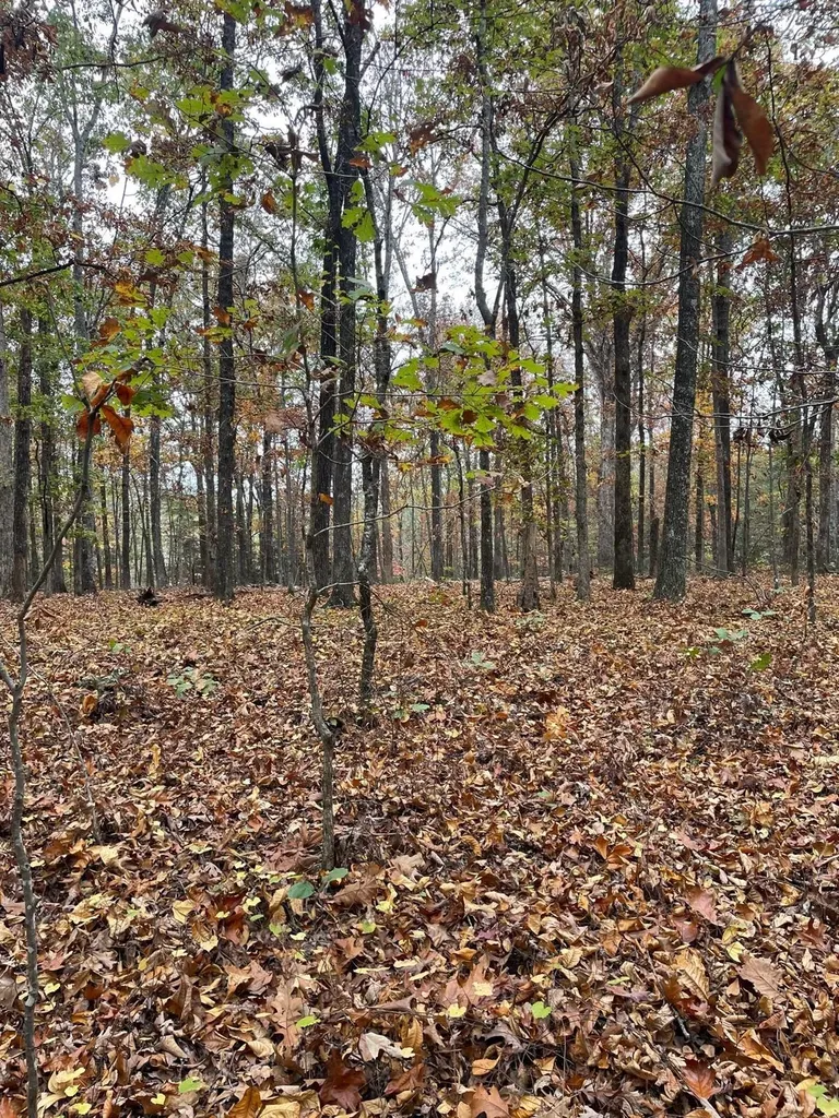 1132 Sneed Road (Lot 1 & 2) Road Decatur TN 37322