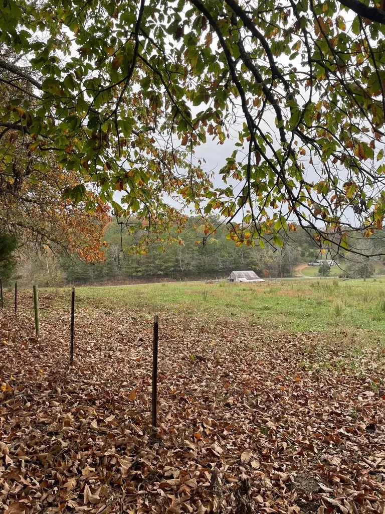 1132 Sneed Road (Lot 2) Road Decatur TN 37322