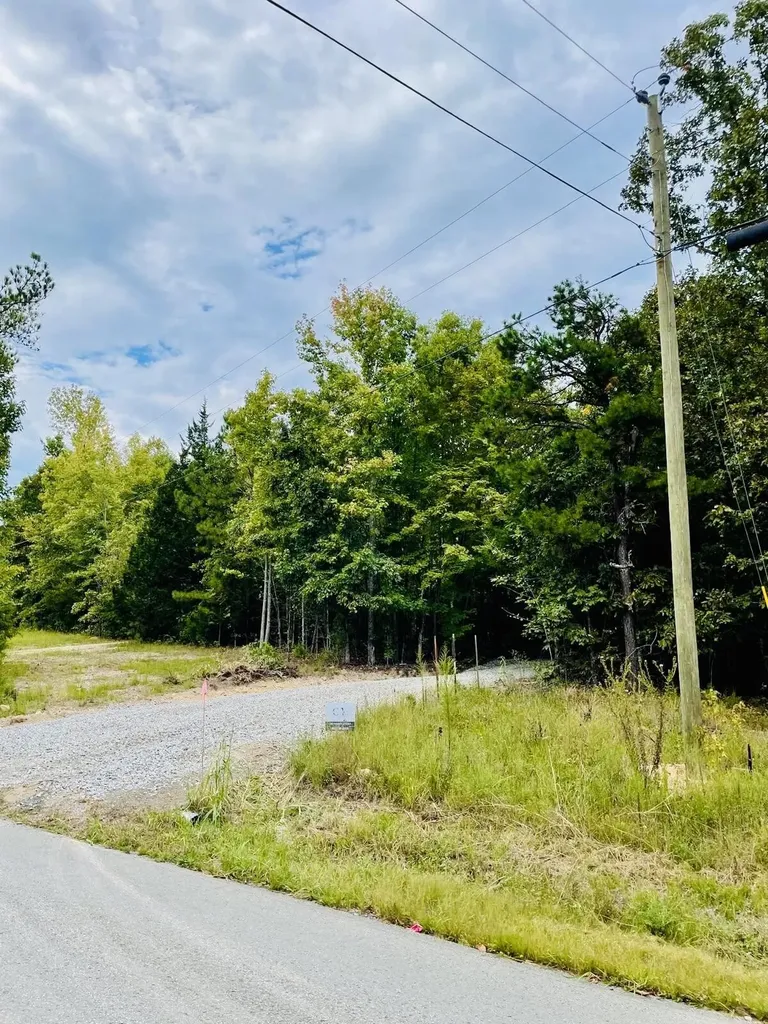 1132 Sneed Road (Lot 2) Road Decatur TN 37322