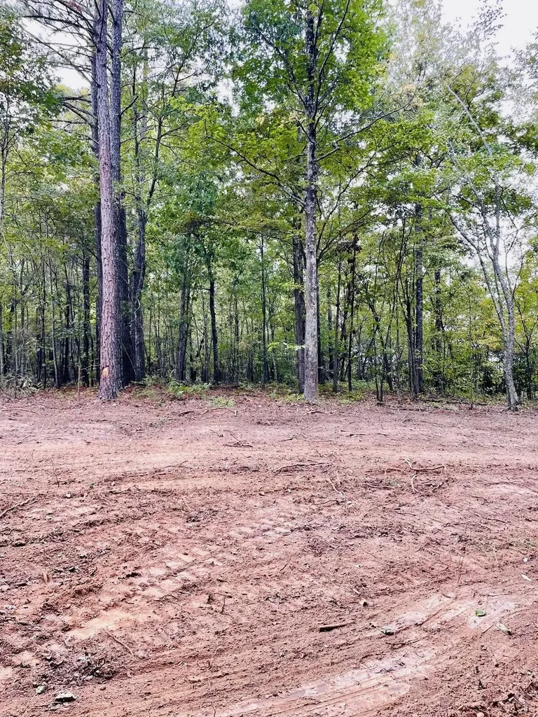 1132 Sneed Road (Lot 2) Road Decatur TN 37322
