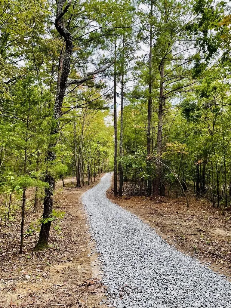 1132 Sneed Road (Lot 2) Road Decatur TN 37322