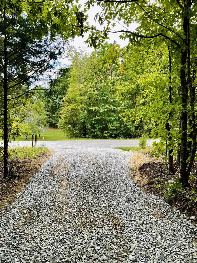 1132 Sneed Road (Lot 2) Road Decatur TN 37322