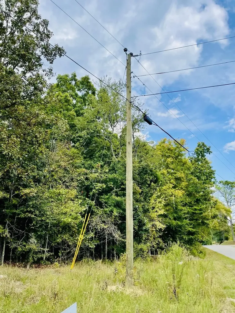1132 Sneed Road (Lot 2) Road Decatur TN 37322