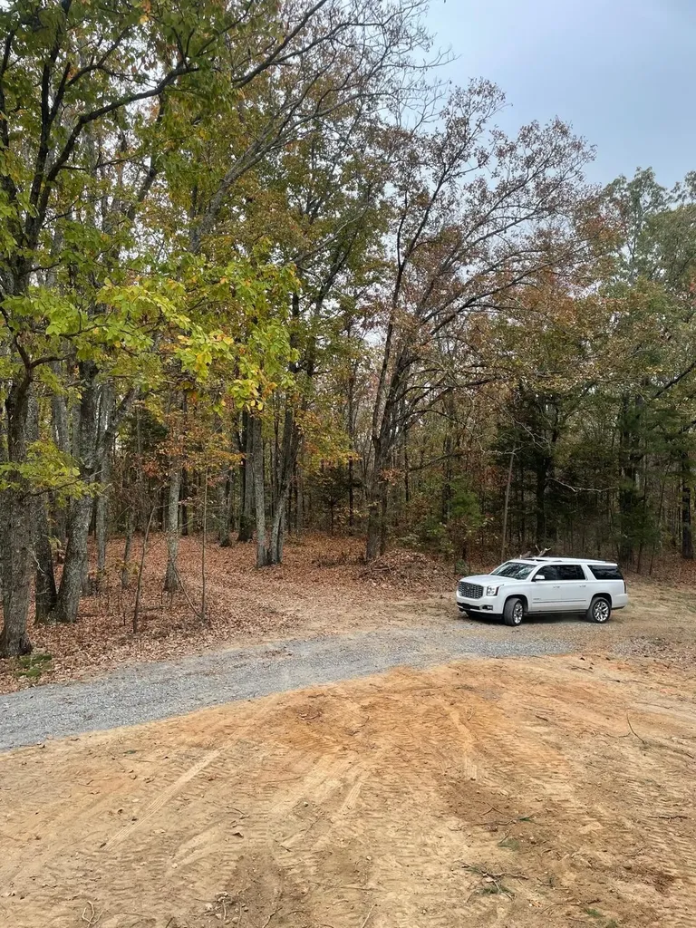 1132 Sneed Road (Lot 2) Road Decatur TN 37322