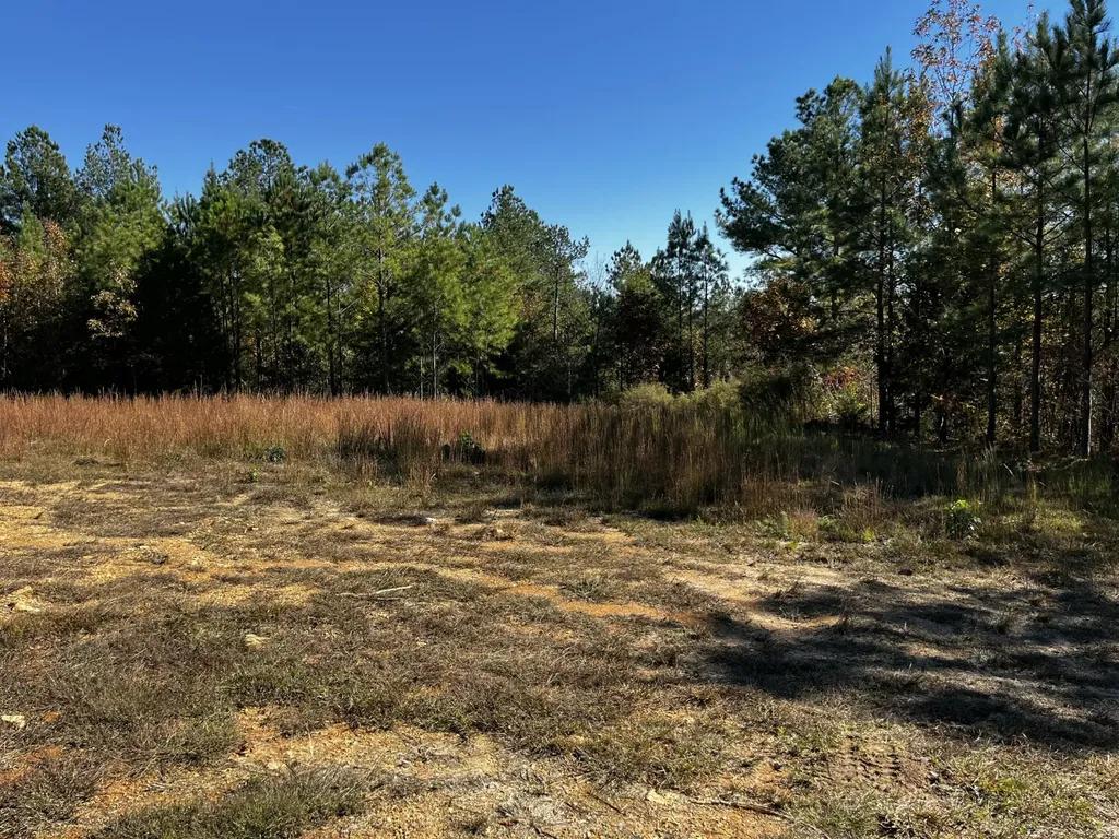 1693 Liggett Road Decatur TN 37322