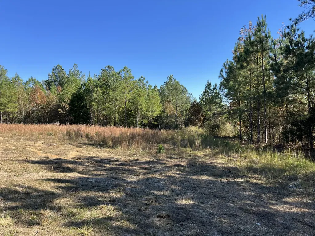1693 Liggett Road Decatur TN 37322