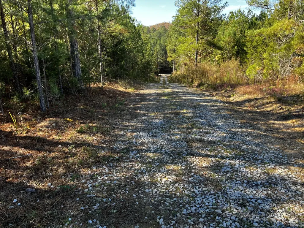 1693 Liggett Road Decatur TN 37322