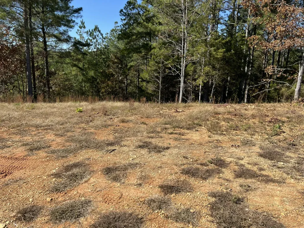 1693 Liggett Road Decatur TN 37322