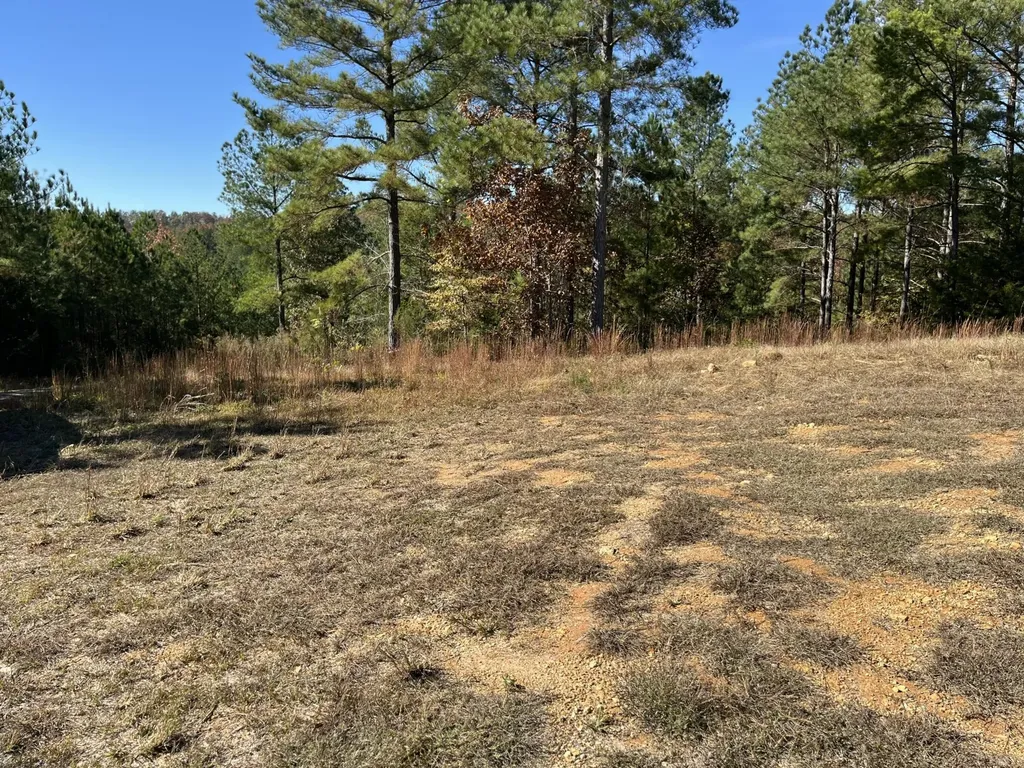 1693 Liggett Road Decatur TN 37322