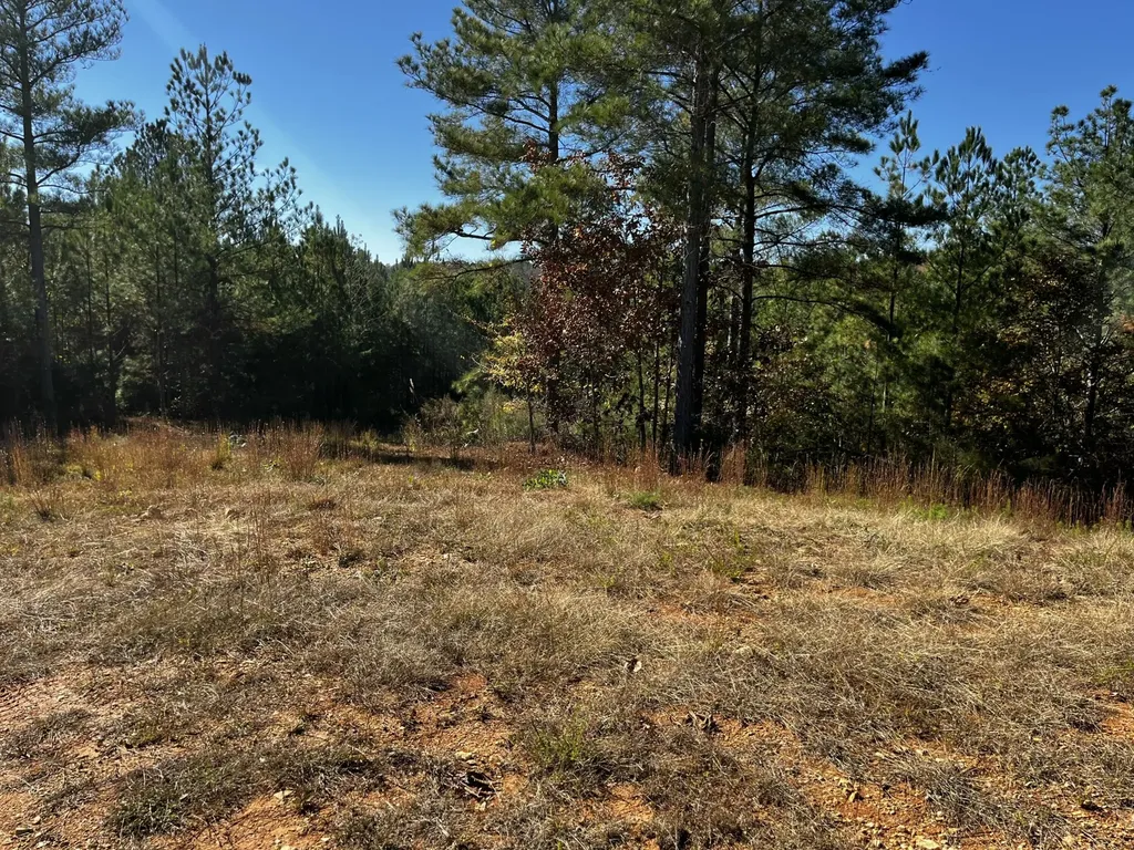 1693 Liggett Road Decatur TN 37322