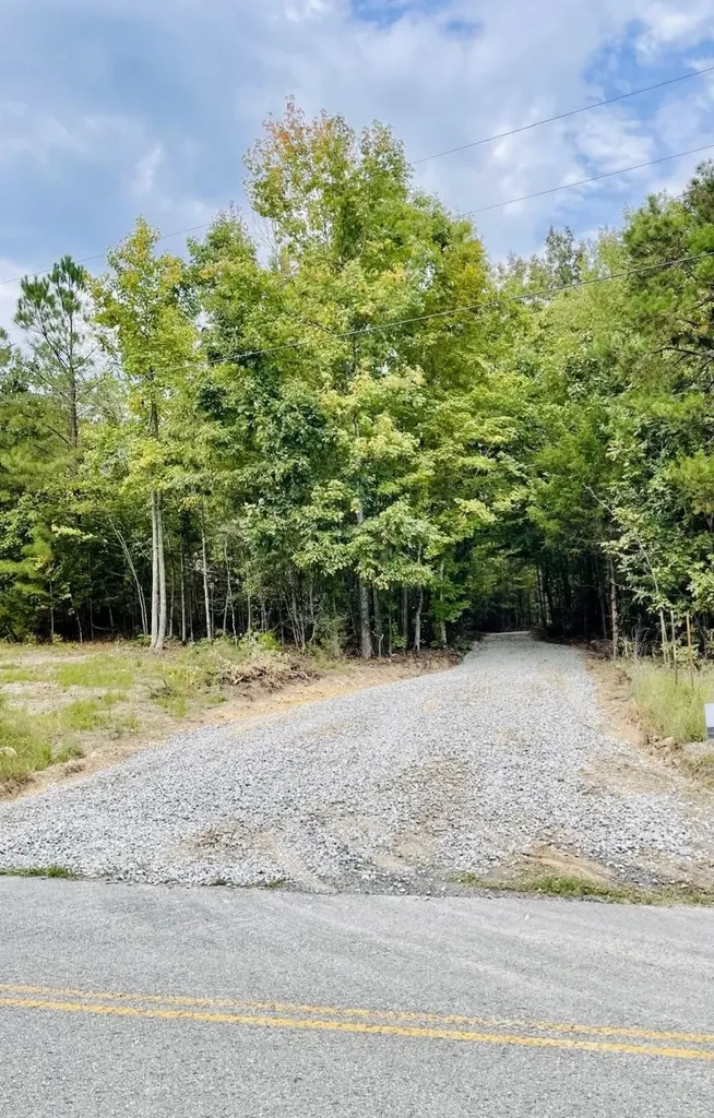 1132 Sneed Road (Lot 1) Road Decatur TN 37322