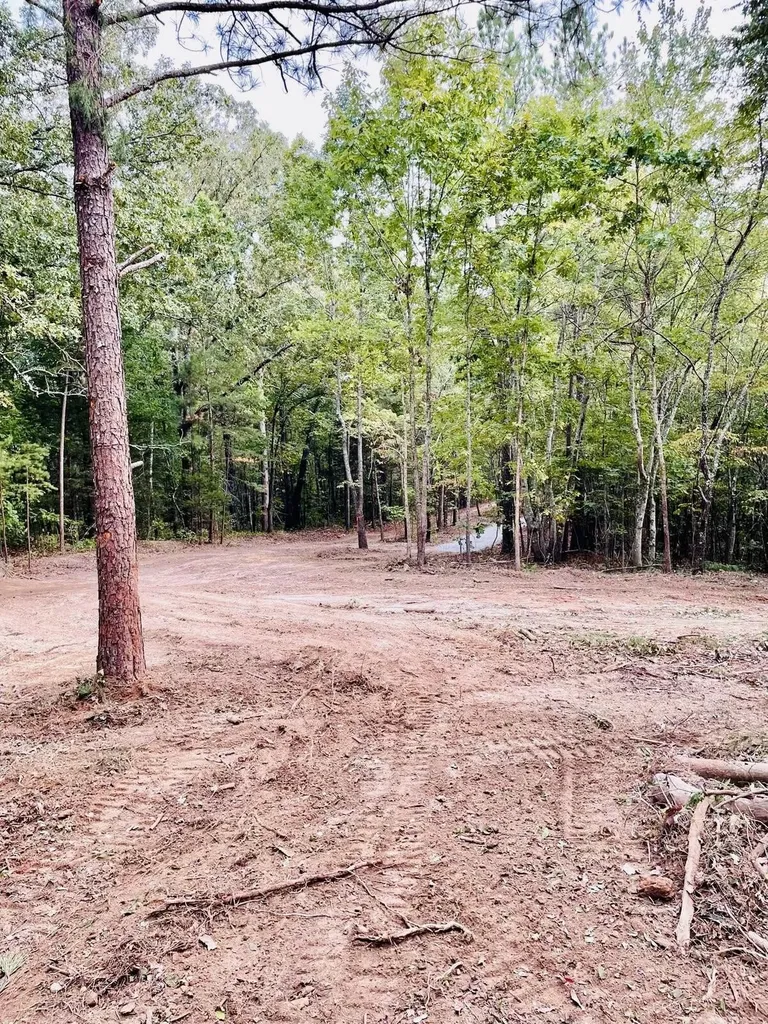 1132 Sneed Road (Lot 1) Road Decatur TN 37322