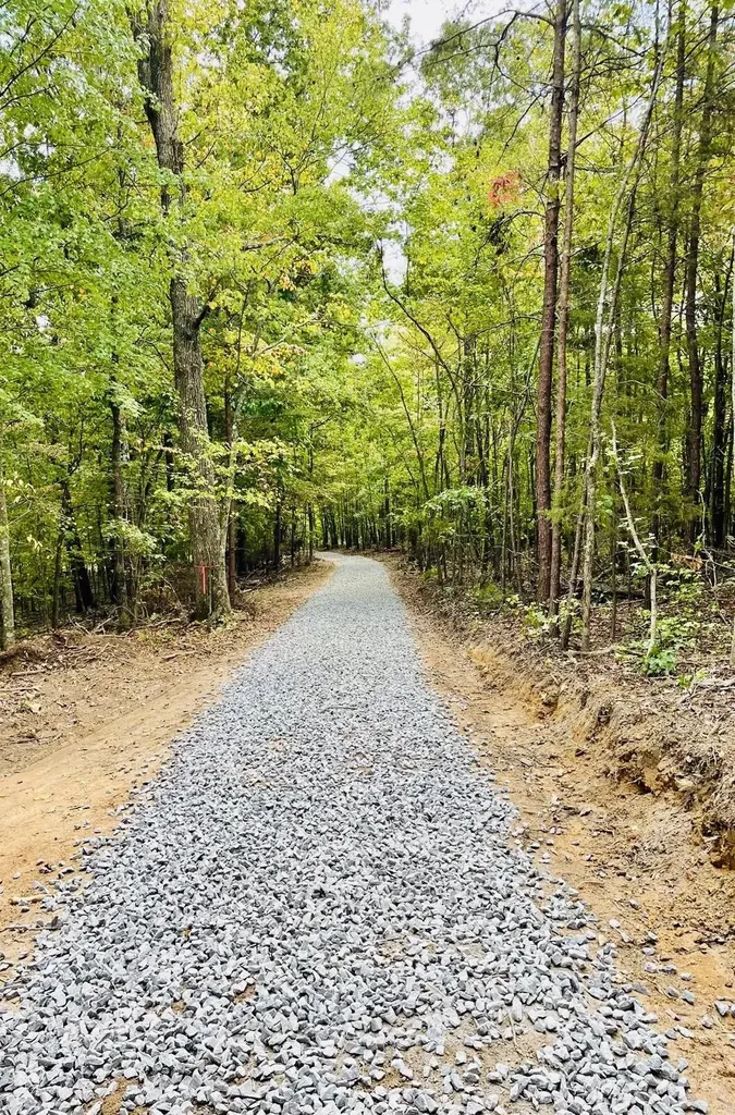 1132 Sneed Road (Lot 1) Road Decatur TN 37322