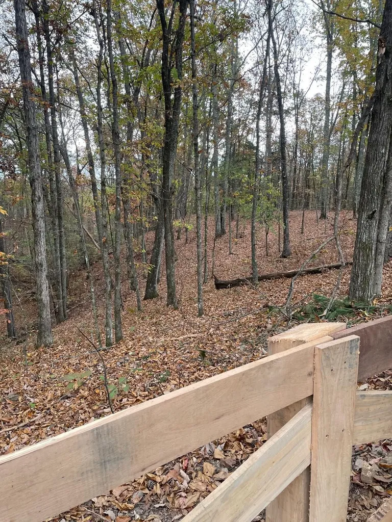 1132 Sneed Road (Lot 1) Road Decatur TN 37322