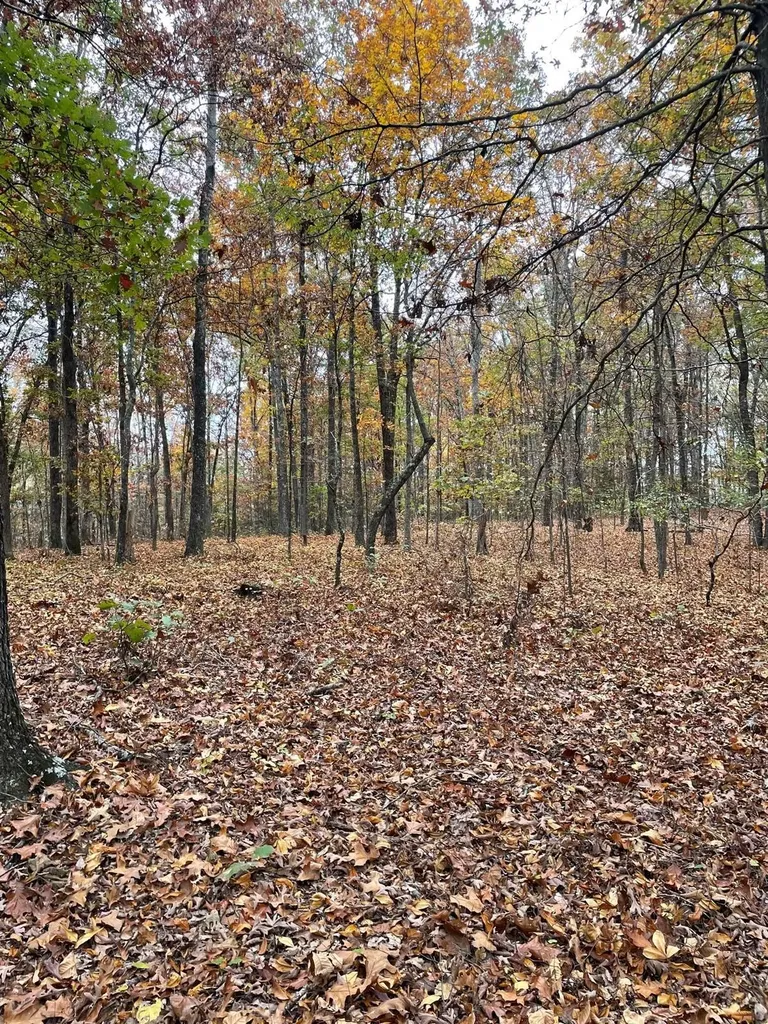 1132 Sneed Road (Lot 1) Road Decatur TN 37322