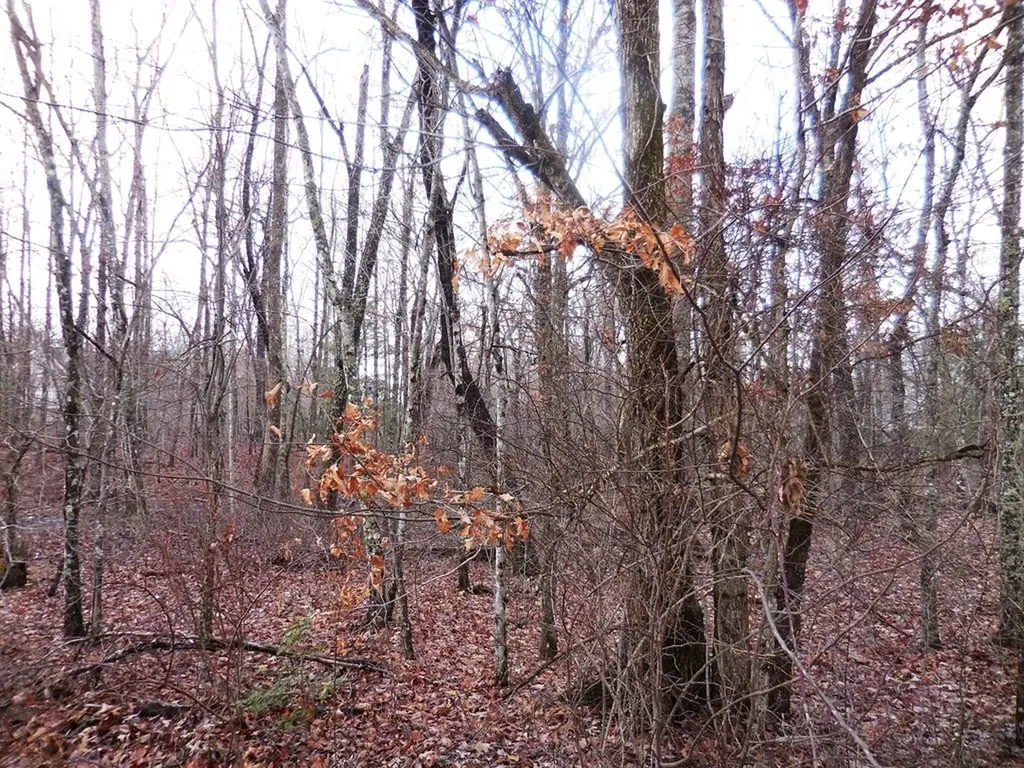 1143 Natchez Trace Crossville TN 38572