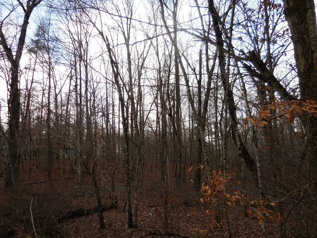 1143 Natchez Trace Crossville TN 38572