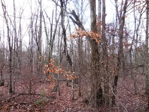 1143 Natchez Trace Crossville TN 38572