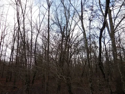 1143 Natchez Trace Crossville TN 38572