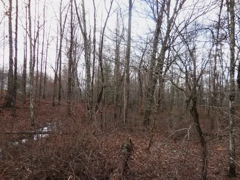 1143 Natchez Trace Crossville TN 38572