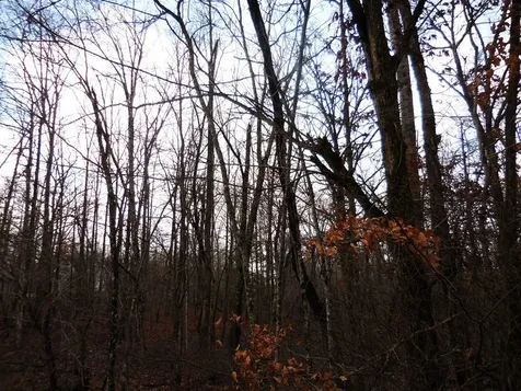 1143 Natchez Trace Crossville TN 38572
