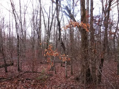 1143 Natchez Trace Crossville TN 38572