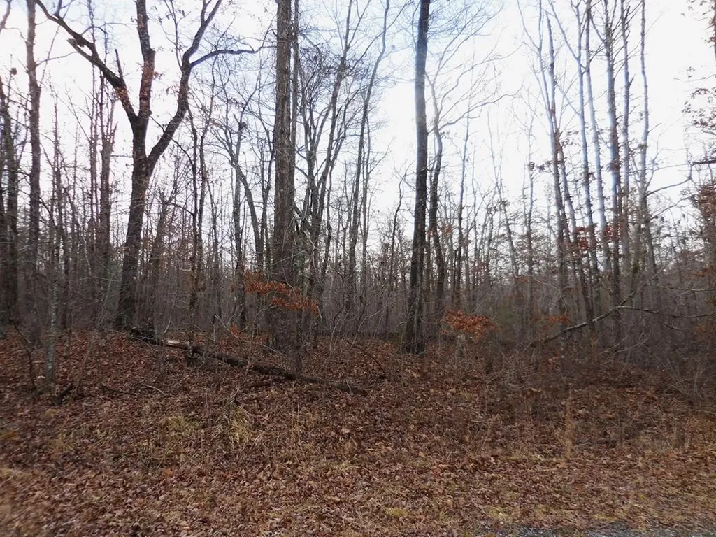 3008 Diego Drive Crossville TN 38572