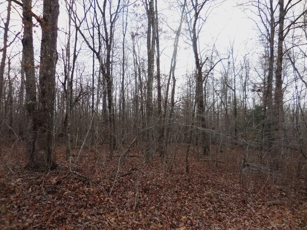 3008 Diego Drive Crossville TN 38572