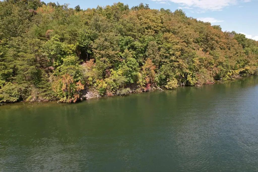 39 Waterside Way Spring City TN 37381